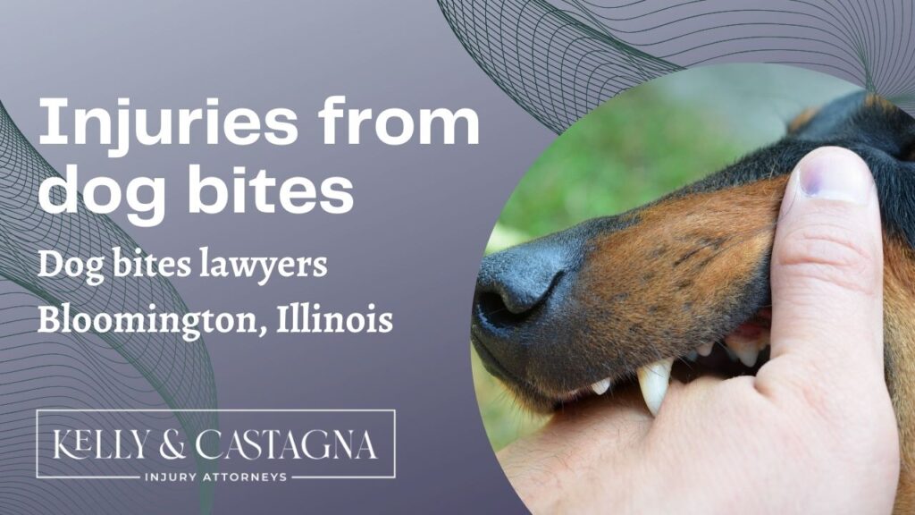 Dog Bites Lawyers Bloomington Illinois | Kelly and Castagna | Dog Bites Lawyer Near Me