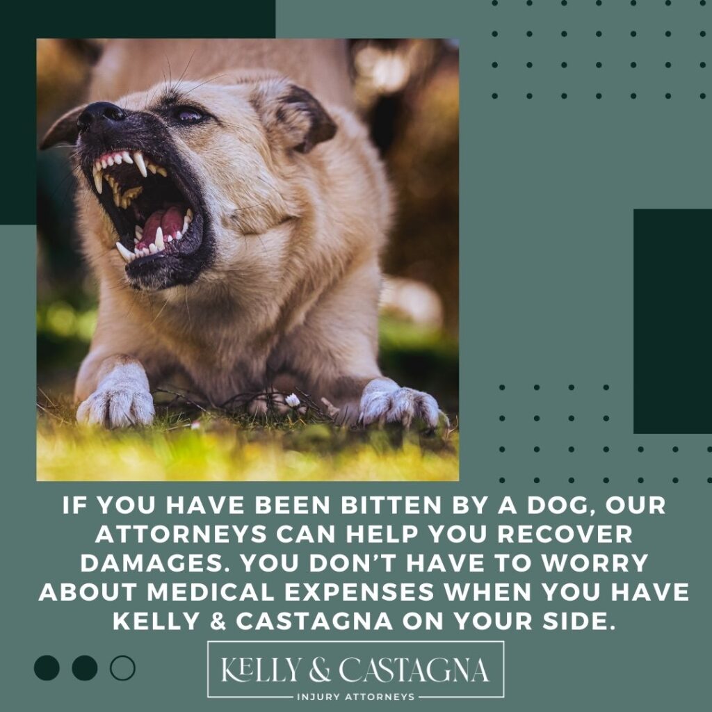 Dog bites lawyers Bloomington Illinois | Kelly and Castagna | Dog Bites Lawyers Near Me