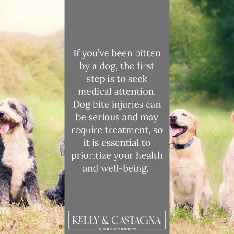 Dog bites lawyer Bloomington IL | How to file a dog bite claim