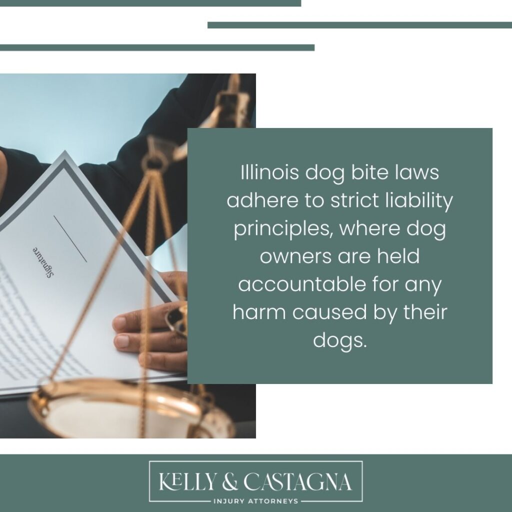 Dog bites lawyers Bloomington IL | Kelly and Castagna | Dog Bites Lawyers Near Me