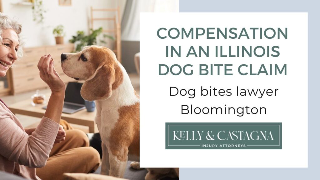 Dog Bites Lawyer Bloomington | Kelly and Castagna | Dog Bites Lawyer Near Me