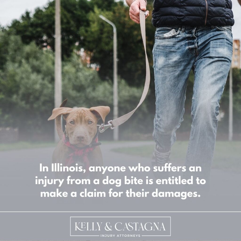 Dog bites lawyer Bloomington  | Kelly and Castagna | Dog Bites Lawyer Near Me