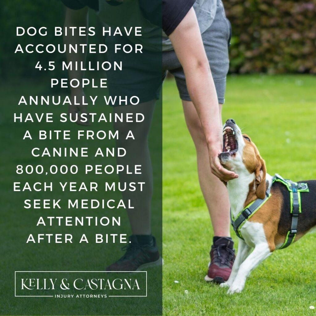Dog bites lawyers Bloomington | Kelly and Castagna | Dog Bites Lawyers Near Me