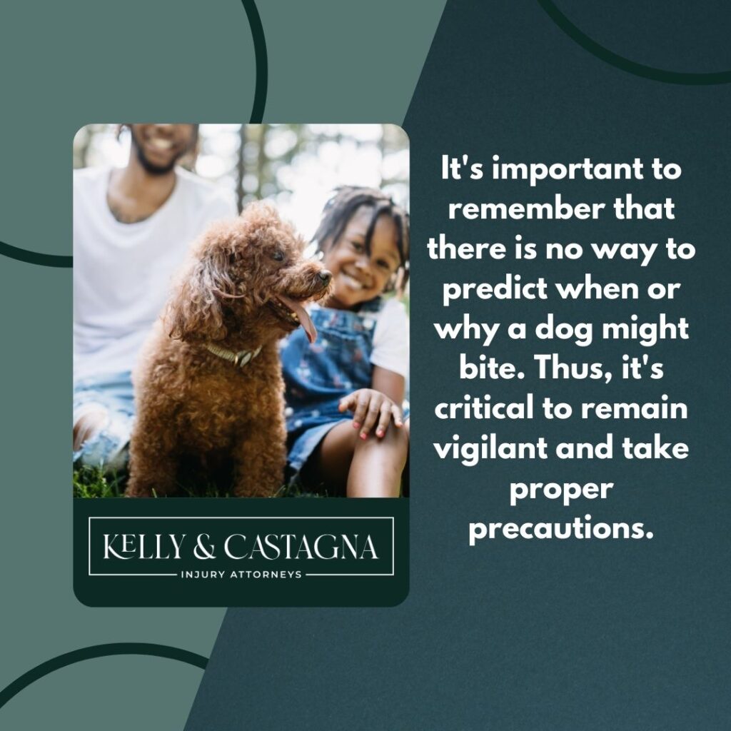 Dog bites lawyer Normal Illinois  | Kelly and Castagna | Dog Bites Lawyer Near Me